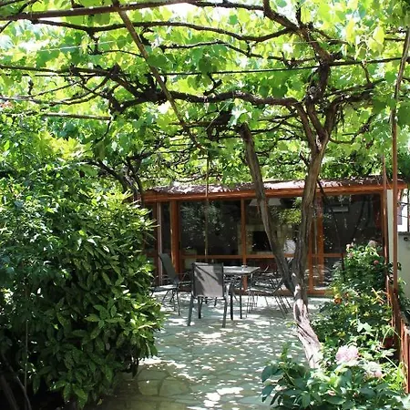 Raya Apartment Sapareva Banya