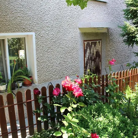 Raya * Sapareva Banja