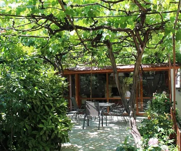 Raya Daire Sapareva Banya