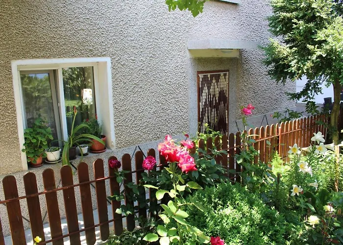 Raya * Saparewa Banja